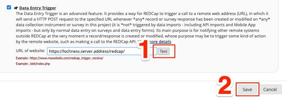 _images/redcap_det_3.png